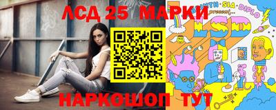 гашик Гатчина