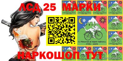 гашик Гатчина
