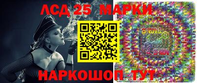 гашик Гатчина