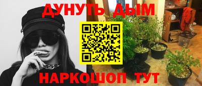 гашик Гатчина