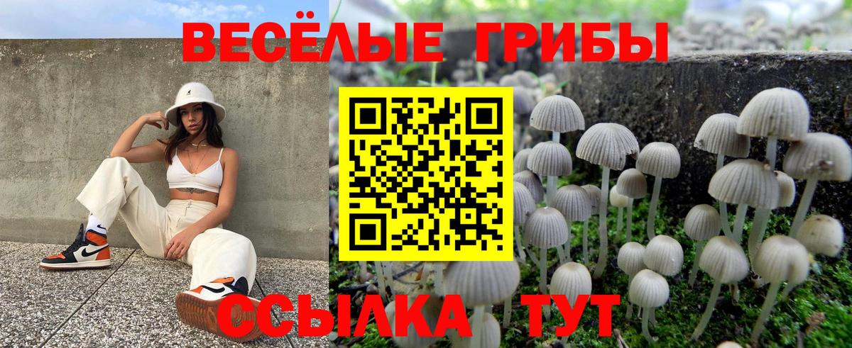 Северобайкальск  Галлюциногенные грибы Cubensis  Вход с VPN 