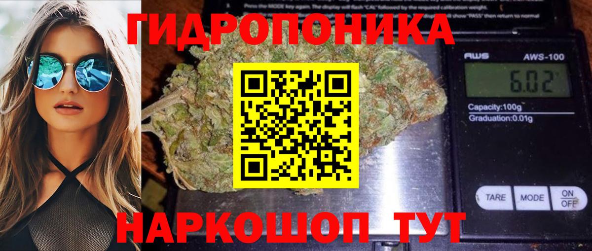 МАРИХУАНА план  Шишки марихуана VHQ  Вход с VPN  Шишки марихуана семена  Северобайкальск  МАРИХУАНА MAZAR 